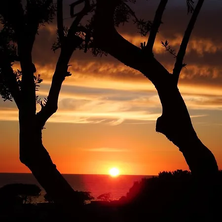 Hotel Cristina Diamante